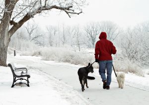 Sandra Knoerr enjoys a crisp morning while walking Maggie, left, and Jed, right, on Jan. 27th at Stephens Lake Park. Columbia residents woke up to many outdoor surfaces covered by hoar frost, a type of frost distinguished by white ice crystals that grow during cold clear nights.