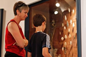 Visitors inspect archaic points during the annual Museum Crawl at the University of Missouri's Museum of Anthropology.